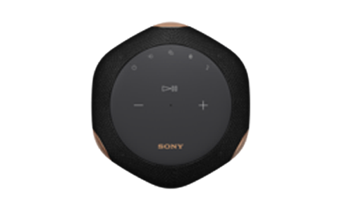 Loa không dây cao cấp Sony SRS-RA3000