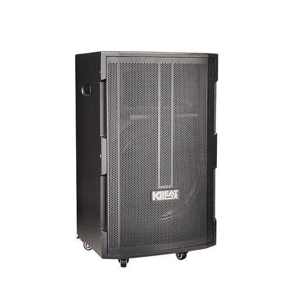 Loa kéo di động Acnos CB391G